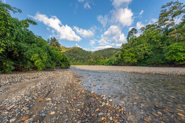 tropical rainforest view from the river Peru.