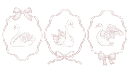 Set of three elegant vintage swan illustrations inside ornate ribbon frames. Detailed hand-drawn birds in engraving style. Ideal for wedding invitations, branding, packaging, and romantic vintage deco