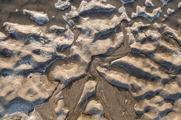 seabed at low tide for background use