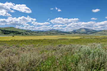 Obraz premium Yellowstone National Park