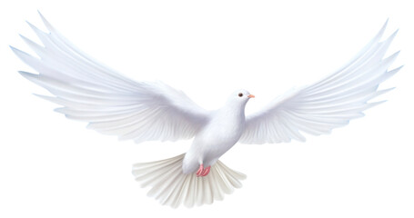Obraz premium PNG Dove border bird clouds white.