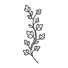 Simple black line leaf pattern with delicate branch design. Vector illustration