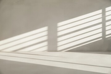 Obraz premium Sunlight streaks across a neutral room