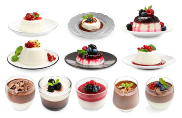 Sweet panna cotta desserts isolated on white, set