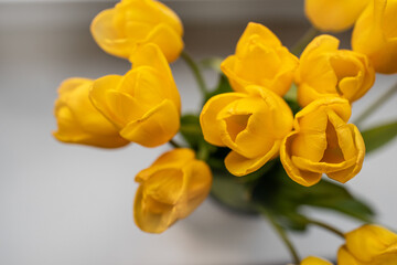 Top down photo of a fresh yellow tulips in a glass vase placed on a windowsill. Natural light highlights the vibrant petals and lush green leaves, creating a bright and cheerful spring mood. 