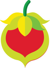 Mayapple colorful vector on a white background