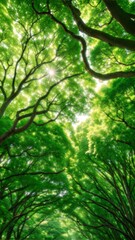 Obraz premium Lush Forest Canopy with Sunlight Streaming Through Green Leaves