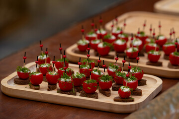 Delicious appetizer bites with cherry tomatoes stuffed with creamy filling, topped with herbs, served on rye bread squares and skewered with decorative sticks. Catering, events, and food blog concept