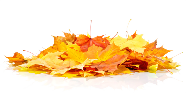 pile of autumn leaves isolated on white background, png, ai generated.