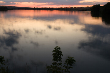 A body of water with trees around it