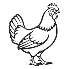 vector illustration of a chicken