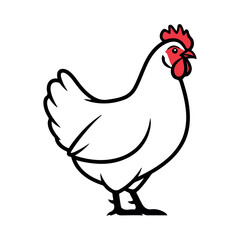 vector illustration of a chicken