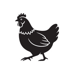 illustration of a chicken or hen. The illustration is a silhouette or outline drawing, with the key features of the bird clearly visible