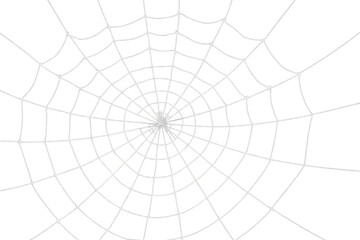 Fototapeta premium Intricate spider web casting eerie shadow, translucent design perfect for seasonal graphic design