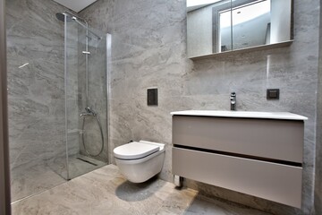 Bathroom Interior in a Luxury House