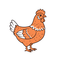 illustration of a chicken or hen. The illustration is a silhouette or outline drawing, with the key features of the bird clearly visible