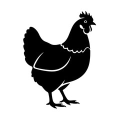 illustration of a chicken or hen. The illustration is a silhouette or outline drawing, with the key features of the bird clearly visible