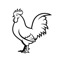illustration of a chicken or hen. The illustration is a silhouette or outline drawing, with the key features of the bird clearly visible