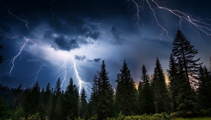 a dramatic lightning storm over a dark foreboding forest illuminating the trees in flashes of light