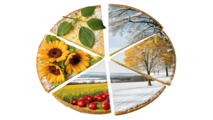 Easter egg divided into four seasons representing the cycle of nature isolated on transparent background