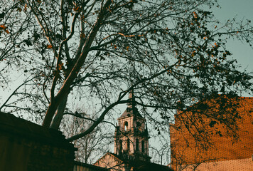 A charming church steeple rises above trees, captured in a serene autumn scene, showcasing elegant...