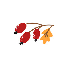 Vector illustration of Autumn berry, leaf and forest branches. Perfect for decorating cards, posters, packaging, and seasonal branding