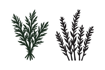 Two sprigs of greenery on a white background