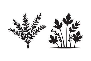 Two silhouettes of delicate botanical sprigs and leaves