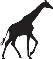 Giraffe walking silhouette vector, tall African wildlife animal illustration, black graphic on white background, nature themed artwork for stock image use