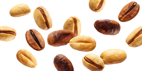 set of flying nuts isolated on white background, png, ai generated.	