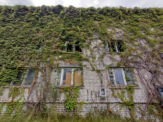 Abandoned building facade consumed by creeping vines, an artistic representation of decay and natural power