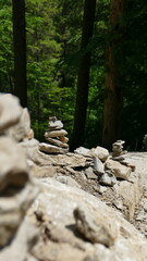 rocks in the forest
