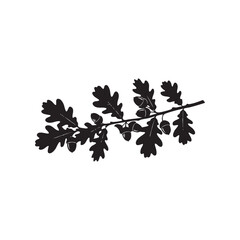 Black silhouette of an oak branch with leaves on a white background
