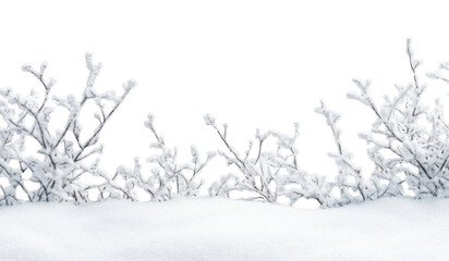 PNG A snow border winter nature frost.