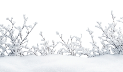 PNG A snow border winter nature frost.