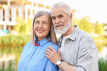 Lovely senior couple walking together in park