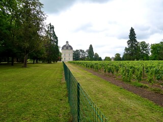 Paysage du Val de Loire avec le vignoble du Château de Cheverny en France.