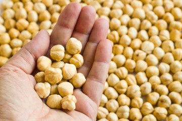 Close-up taken of a handful of luxury double-roasted Turkish hazelnuts on hazelnuts background