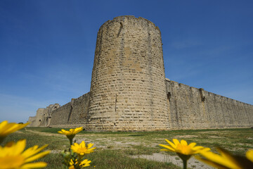 Medieval stone tower Tour de la Poudrière along the fortified walls of Aigues-Mortes, southern France, with spring wildflowers and clear blue sky; concept: heritage, travel, Occitan history.