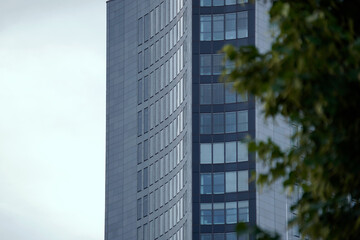 Modern curved skyscraper facade reflects light subtly, featuring sleek glass windows and smooth gray panels. The minimalist design contrasts softly against a pale sky and blurred green foliage.

