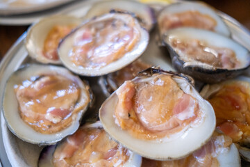 Dozens of raw oysters fill the plate at Swan Oyster Depot in San Francisco, glistening in natural light in a close-up that captures their texture, color, and freshness