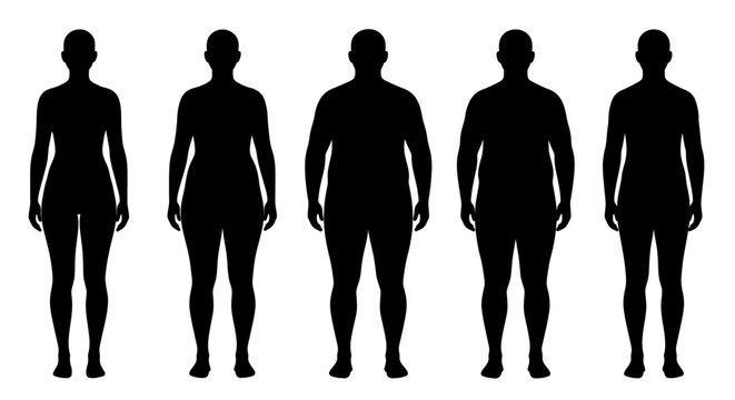 Body Types Silhouette Ectomorph Mesomorph Endomorph Body Shapes silhouette