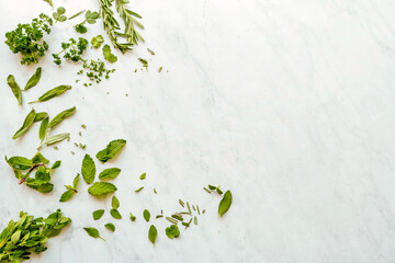 A scattered arrangement of fresh green herbs including rosemary, mint, parsley, and sage on a clean...