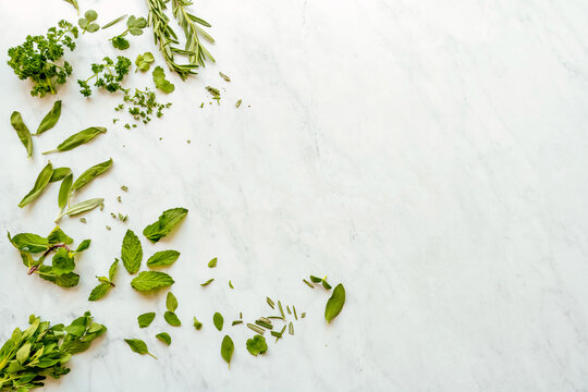 A scattered arrangement of fresh green herbs including rosemary, mint, parsley, and sage on a clean white marble background. Great for cooking, recipe, or health concepts.