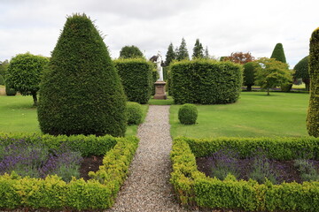 path in the garden