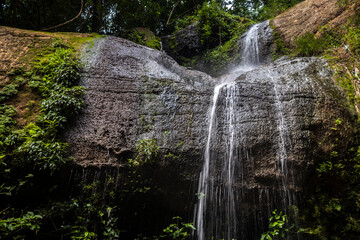 Water from a stream falls over rocks to form a small waterfall in the interior of an Atlantic Forest in Brazil