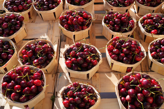Baskets of ripe cherries at a farmers market in France seen from above