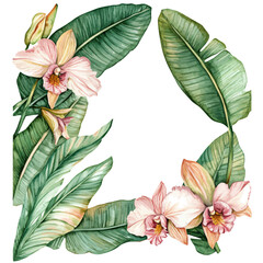 Fototapeta premium My Watercolor hand-painted jungle foliage frame with banana leaves painting illustration isolated on a white background, vector illustration, AI painting design, EPS format design. vector illustration