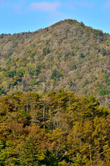 御坂山地の五湖山から眺める山梨百名山　紅葉の三方分山
