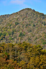 御坂山地の五湖山から眺める山梨百名山　紅葉の三方分山
